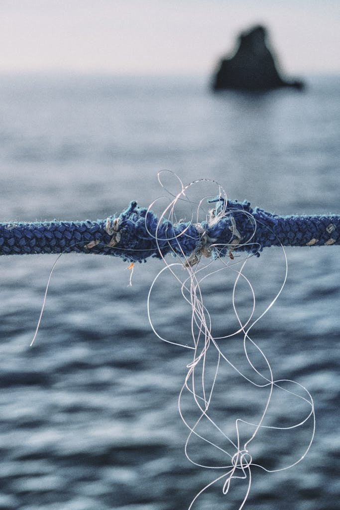 Close-up of Breaking Cord