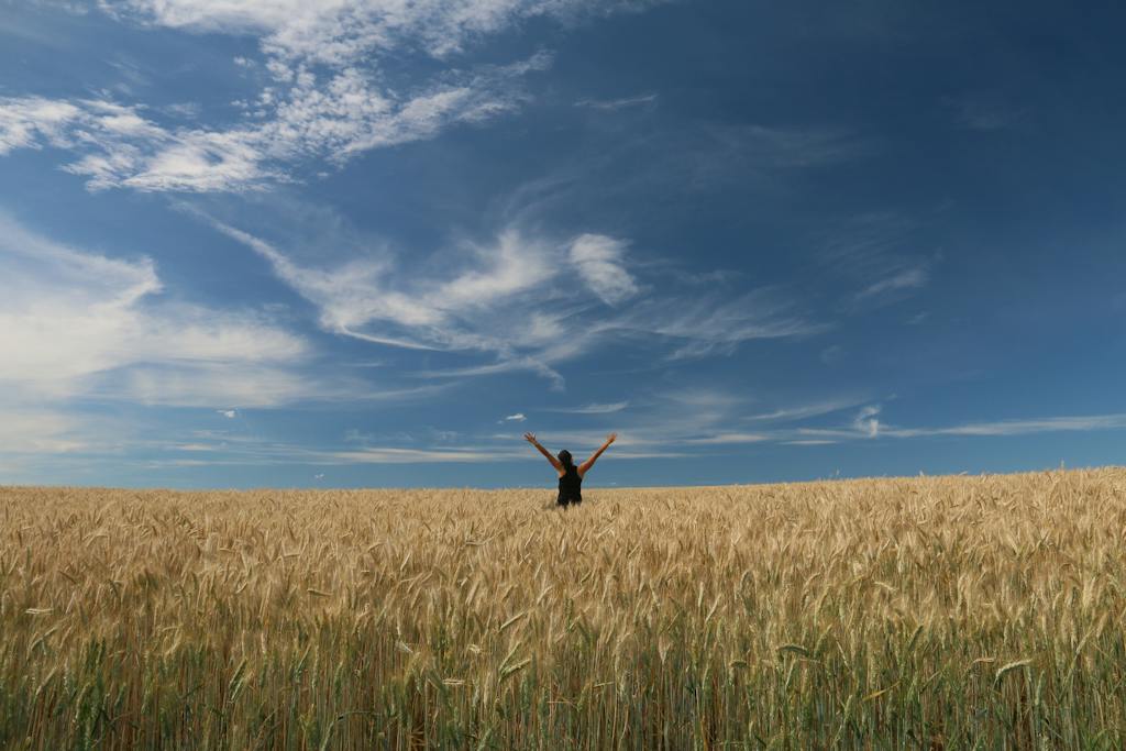 Person on Grass Field